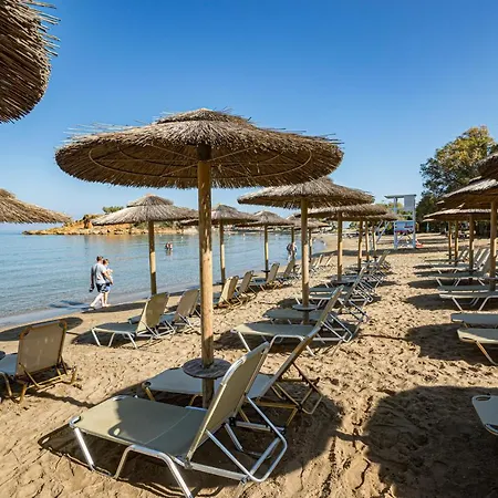 Golden Bay Kato Daratso